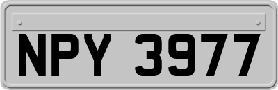 NPY3977