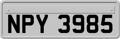 NPY3985