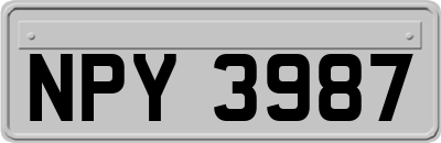 NPY3987