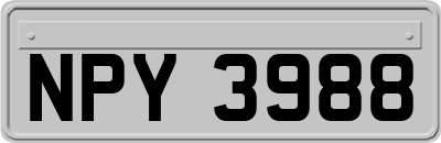 NPY3988
