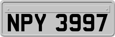 NPY3997
