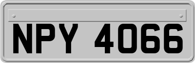 NPY4066
