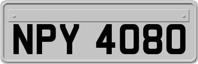 NPY4080