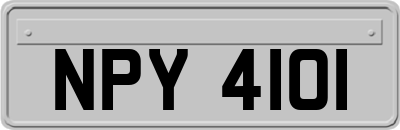 NPY4101