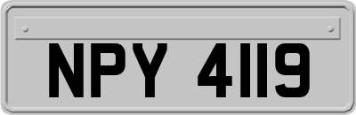 NPY4119