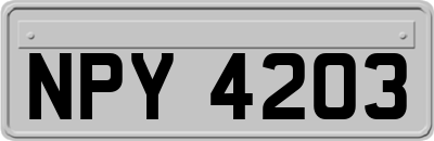 NPY4203