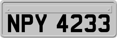 NPY4233