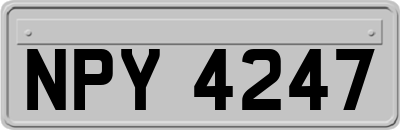NPY4247
