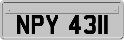 NPY4311