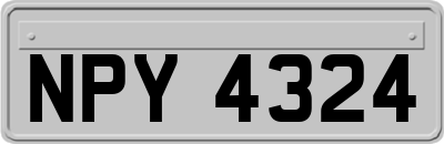 NPY4324
