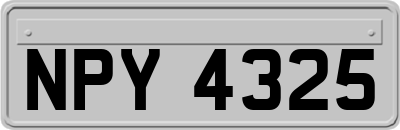 NPY4325