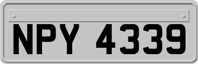NPY4339