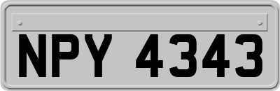 NPY4343