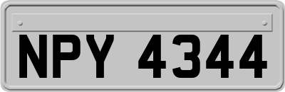 NPY4344