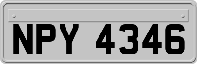NPY4346