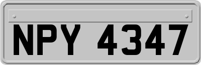 NPY4347