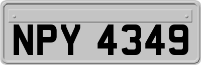 NPY4349