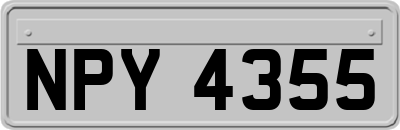 NPY4355