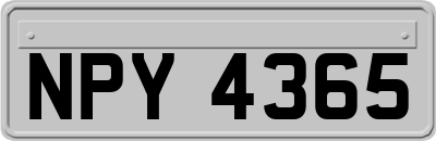 NPY4365