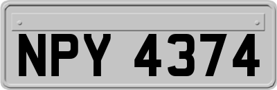 NPY4374