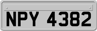 NPY4382