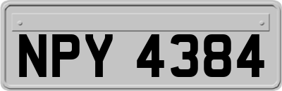 NPY4384