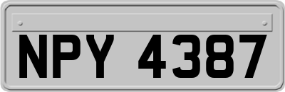 NPY4387