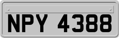 NPY4388