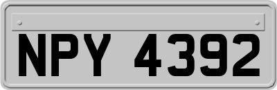 NPY4392