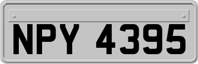 NPY4395