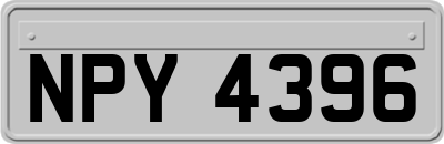 NPY4396