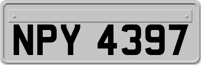 NPY4397