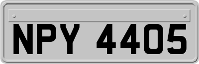 NPY4405