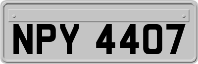 NPY4407