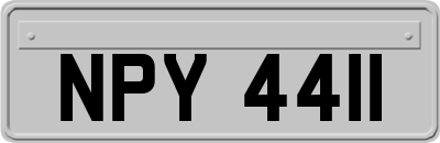 NPY4411