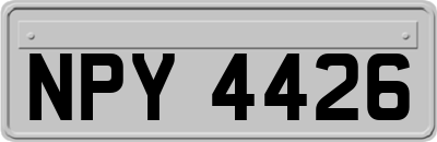 NPY4426