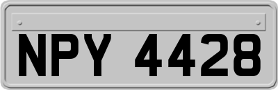 NPY4428