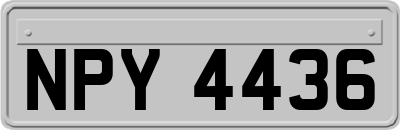 NPY4436