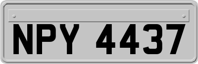 NPY4437
