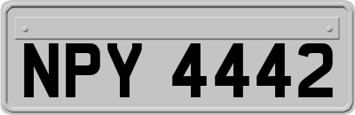NPY4442