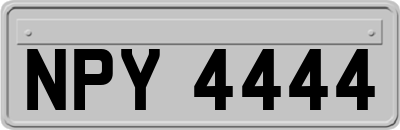 NPY4444