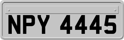 NPY4445