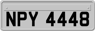 NPY4448