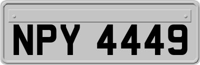 NPY4449