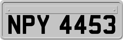 NPY4453