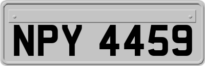 NPY4459