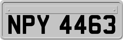 NPY4463