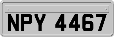 NPY4467