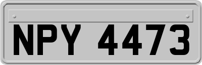 NPY4473