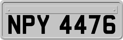 NPY4476